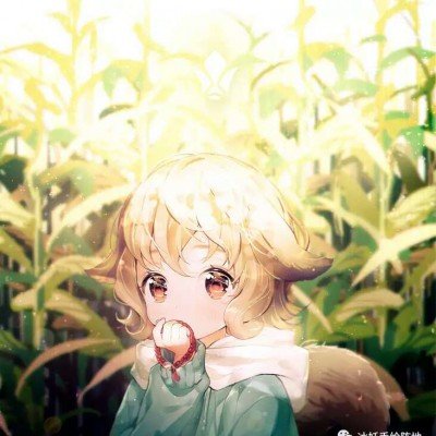 工作室为王鹤棣发声
